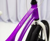 Велосипед MERCURY 14" Магниевая рама Фиолетовый