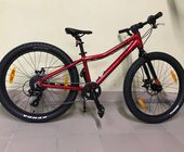 Велосипед Bergamont Revox 24" 2022 Lite Girl 31см 