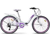 Велосипед VNC 2023' 24" Angely Sport