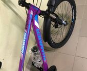 Велосипед Hammer S-200 29" Purple