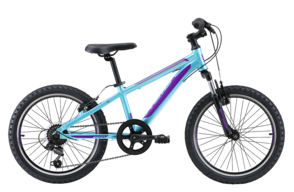 Велосипед Reid Scout 20''